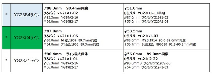 2023年度お試し産卵ライン