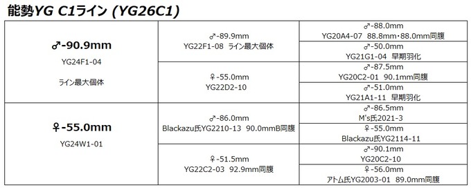 YG26C1ライン