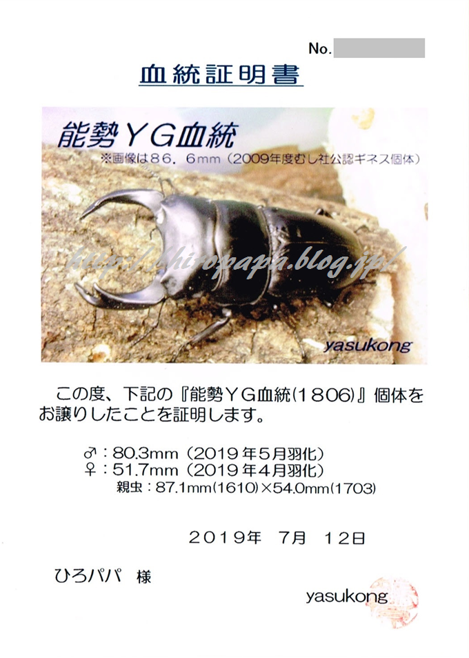 2021年度版~80mm種親から特大を目指すという楽しみ方~ : ひろ 2021年度版~80mm種親から特大を目指すという楽しみ方~ : ひろ