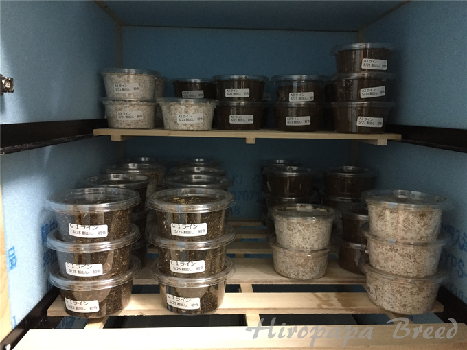 C1ライン割出し (37)