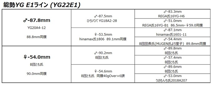 YG22E1