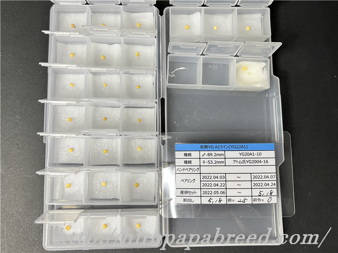 YG22A1 (1)