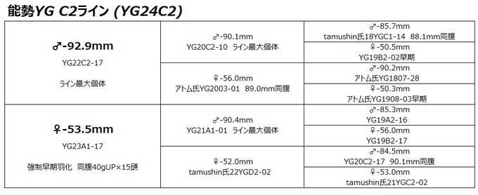 YG24C2
