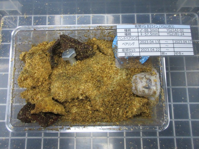 B3 (2)