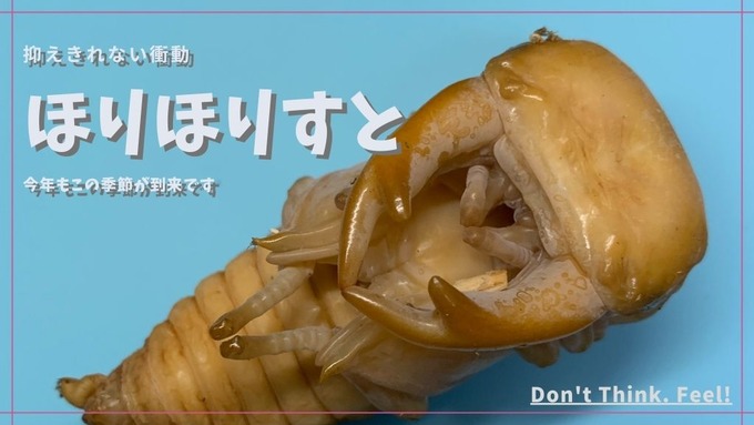 ほりほりすと (1)