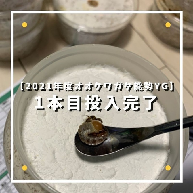 全割出し完了のコピー