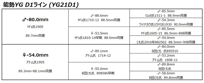 YG21D1ライン