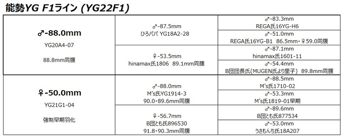 YG22F1ライン