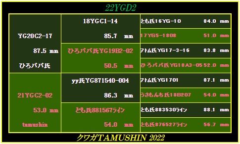 tamushin氏22YGD2背景