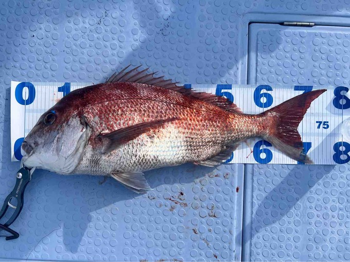 FullSizeRender
