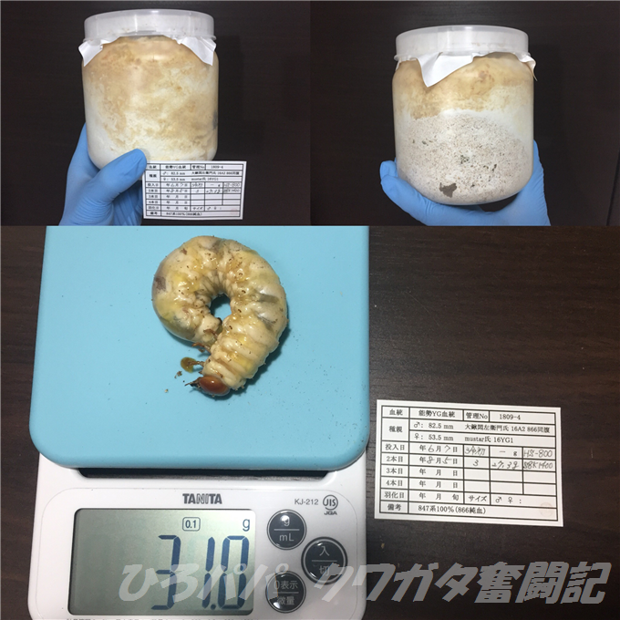 ITLT4237