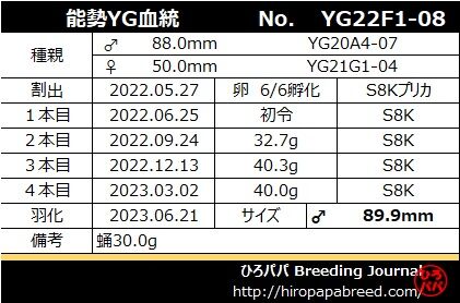 YG22F1-08