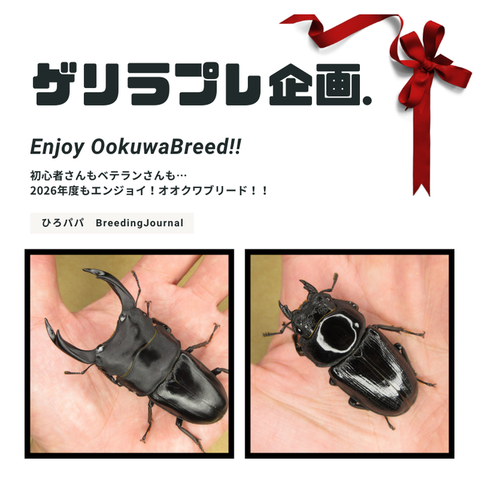 ゲリラプレ企画 (2)