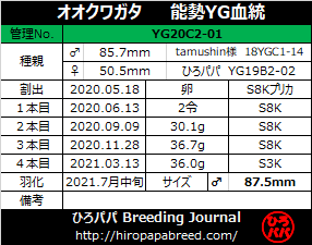 YG20C2-01ラベル