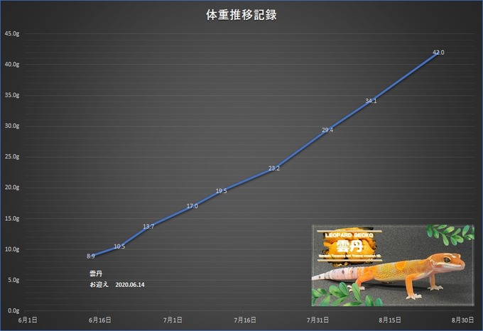 雲丹
