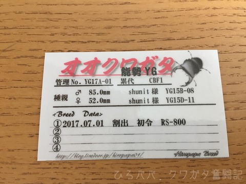 幼虫管理ラベル