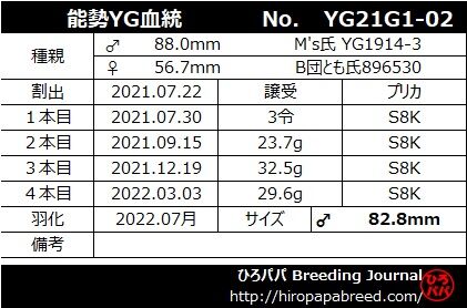 YG21G1-02ラベル