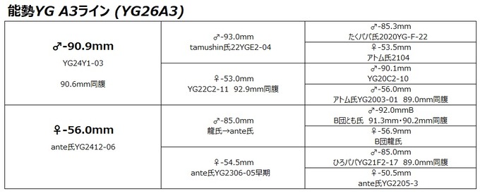 YG26A3ライン