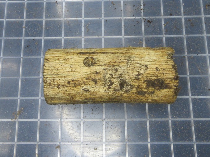 E1 (2)