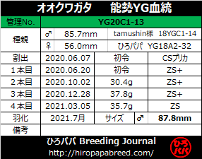 YG20C1-13ラベル