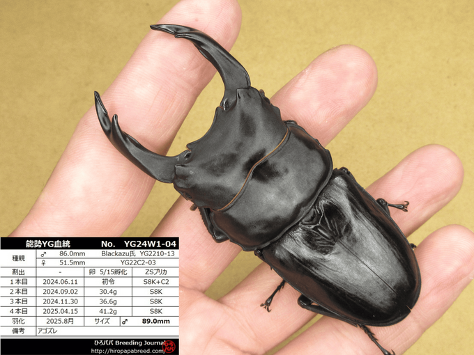 YG24W1-04 (2)