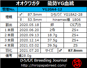 YG20A4-12ラベル