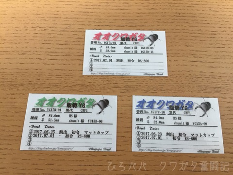 幼虫管理ラベル