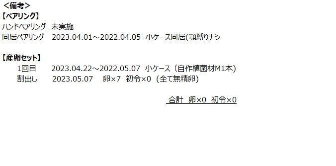 X1セット