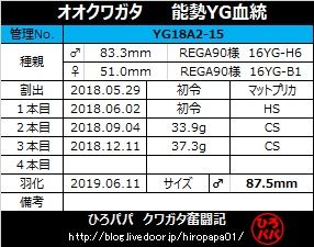 YG18A2-15