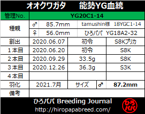 YG20C1-14ラベル