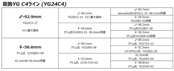 YG24C4