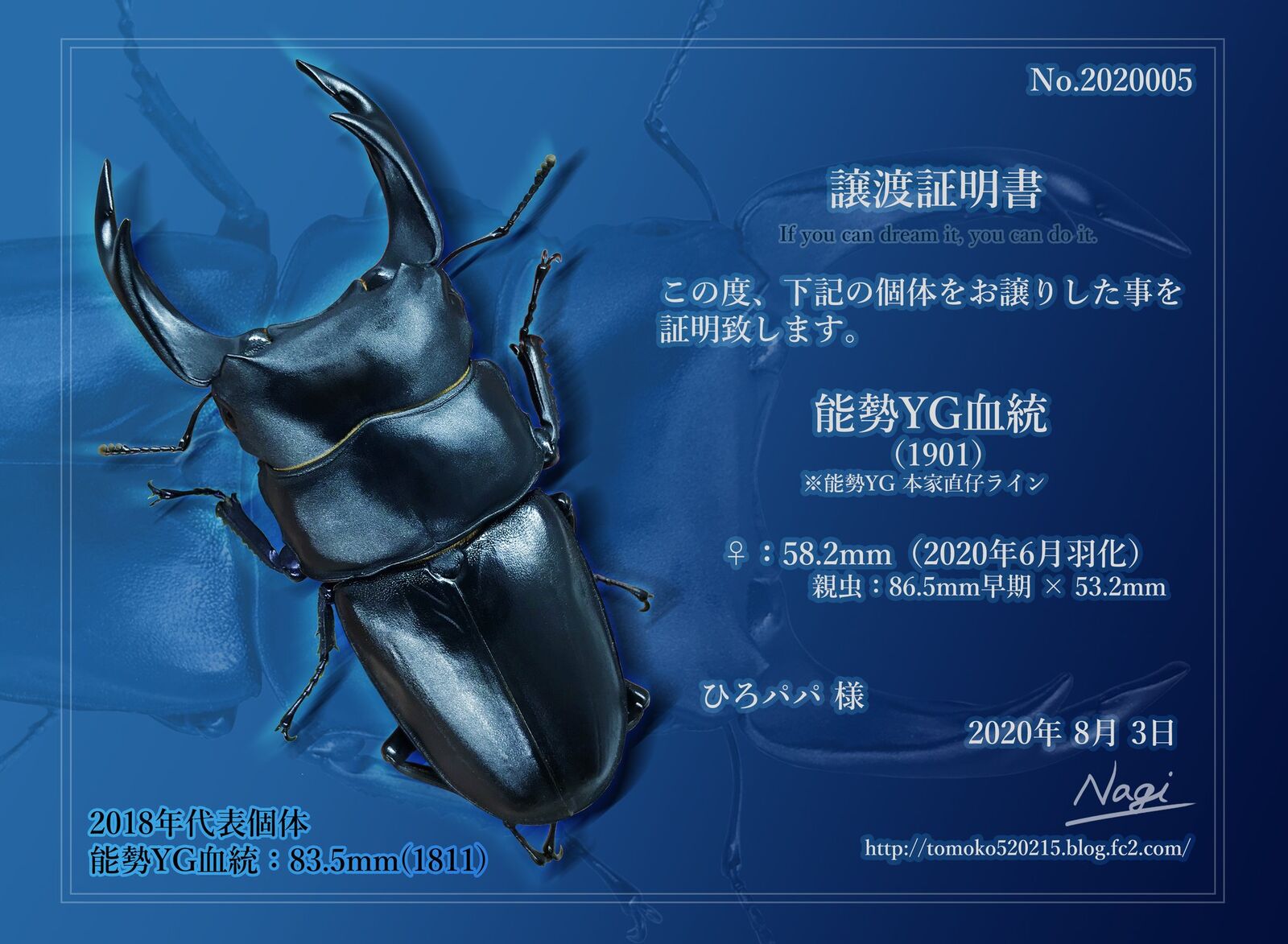 ○ｵｵｸﾜｶﾞﾀ（能勢YG血統） | Page 2 | Blackazu Breeding Record