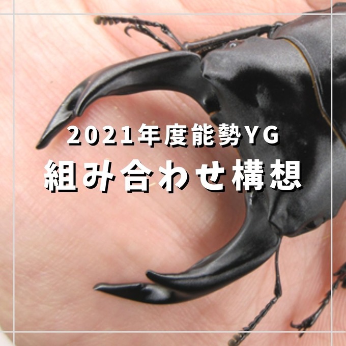 組み合わせ構想