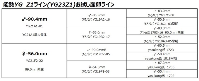 Z1ライン