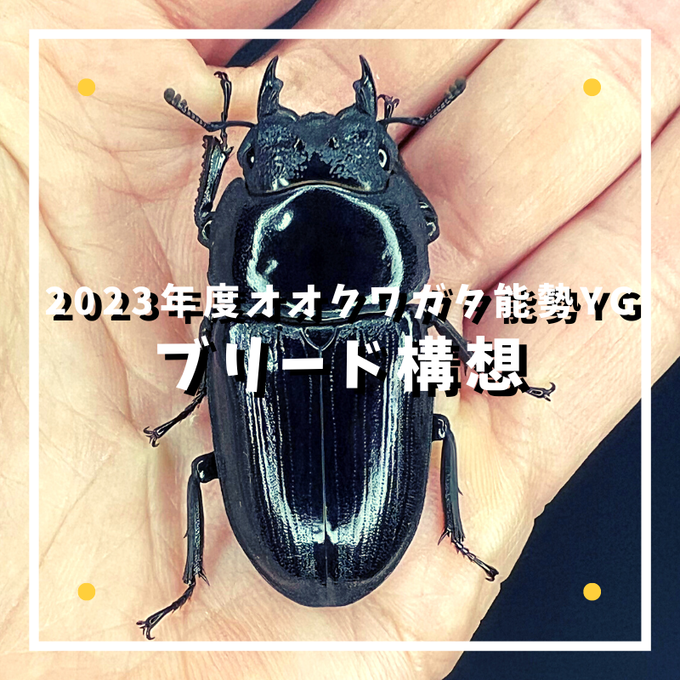 2023年度ブリード構想