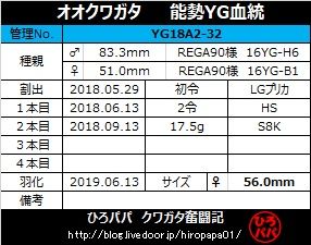 YG18A2-32(1)