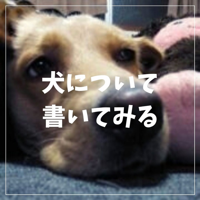 犬