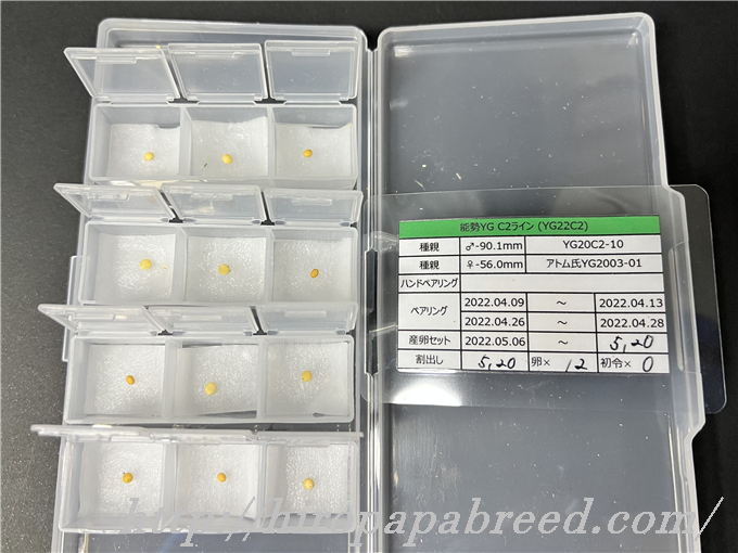 YG22C2 (1)