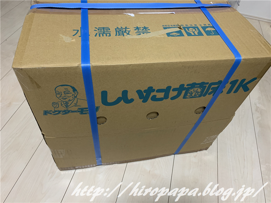 3本目用菌糸詰め完了 少し早々の交換 ひろパパ クワガタ奮闘記 3本目用菌糸詰め完了 少し早々の交換 ひろパパ クワガタ奮闘記