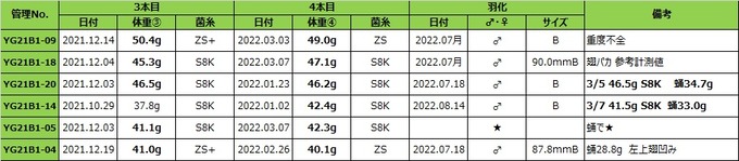 YG21B1ライン40gUP結果