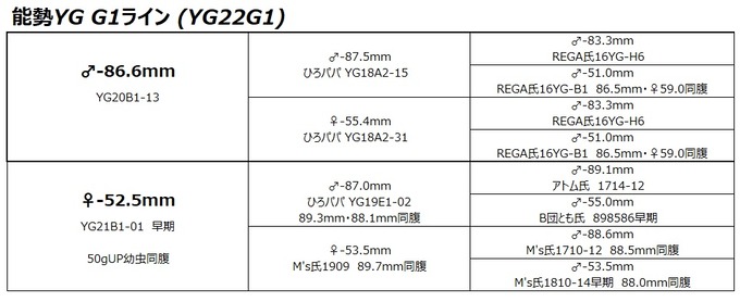 YG22G1ライン