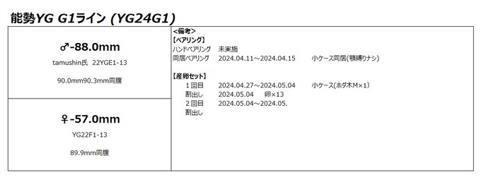 G1