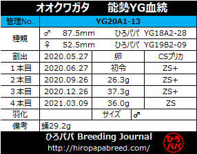 YG20A1-13