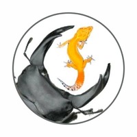 ロゴ – 名称未設定のデザインのコピー