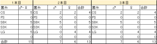 2019菌糸本数