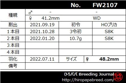 FW2107ラベル