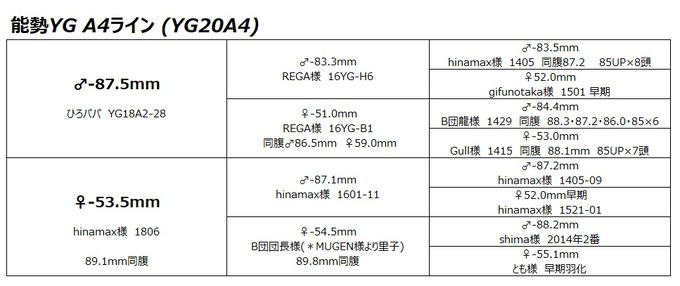 YG20A4