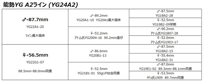 YG24A2