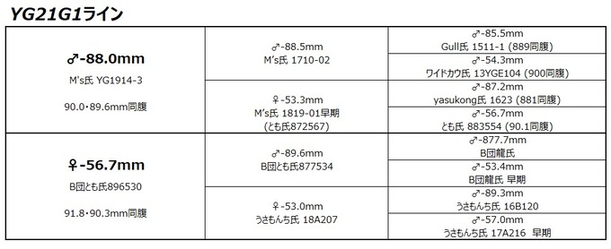 YG21G1ライン