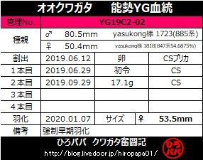YG19C2-02